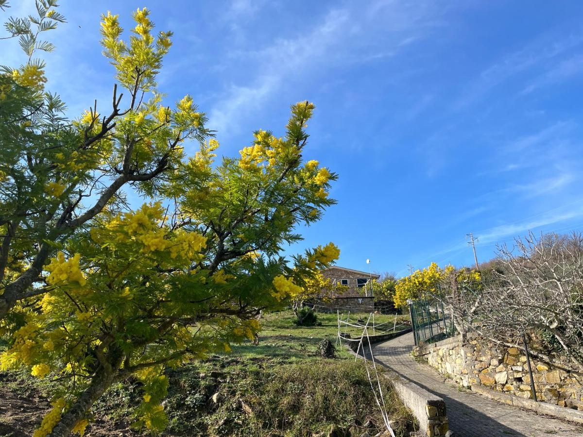 Agriturismo Le Mimose Imperia Kültér fotó