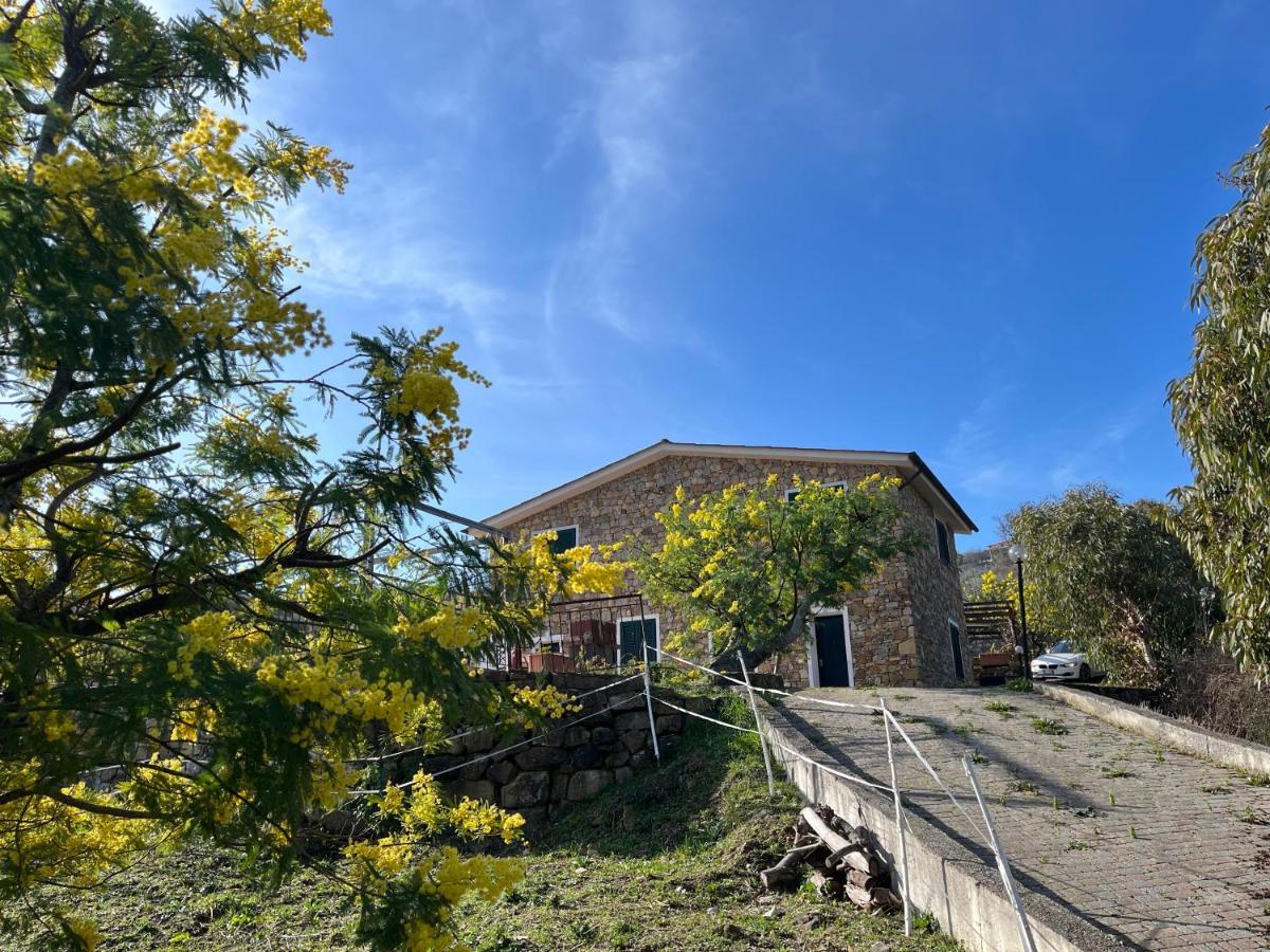 Agriturismo Le Mimose Imperia Kültér fotó