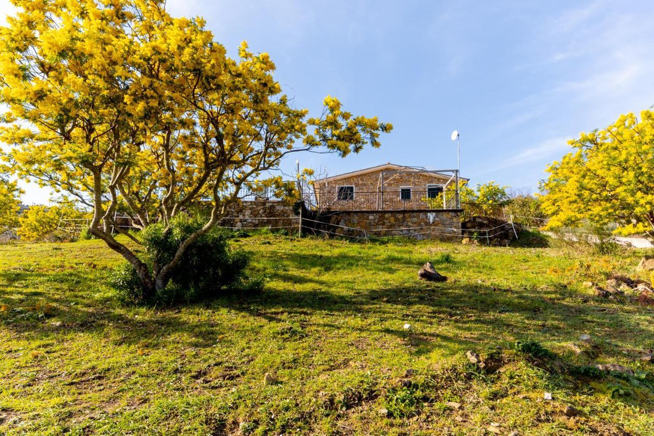 Agriturismo Le Mimose Imperia Kültér fotó